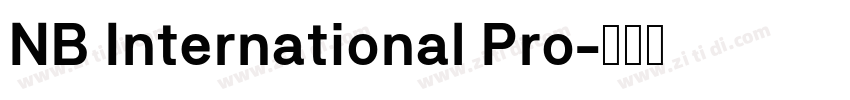 NB International Pro字体转换